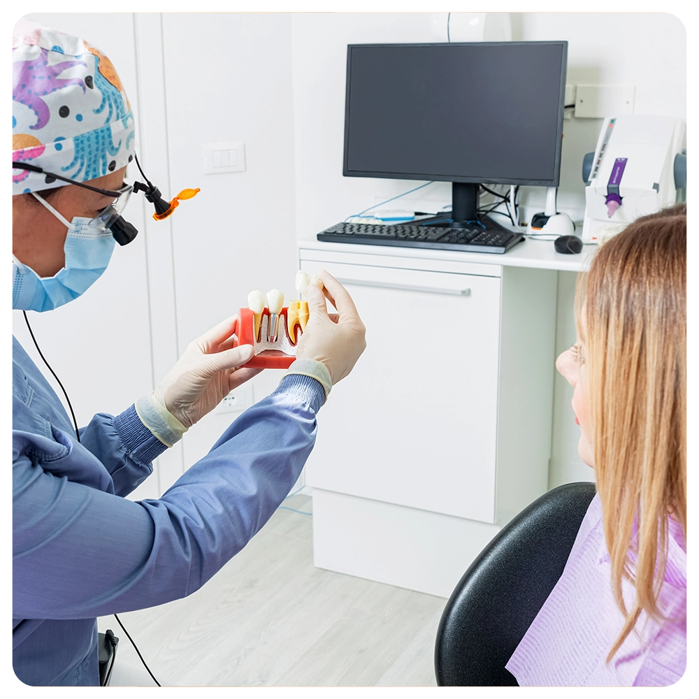 Female dentist explaining the features of an anatomical model of dental implants to a patient in a modern dental clinic