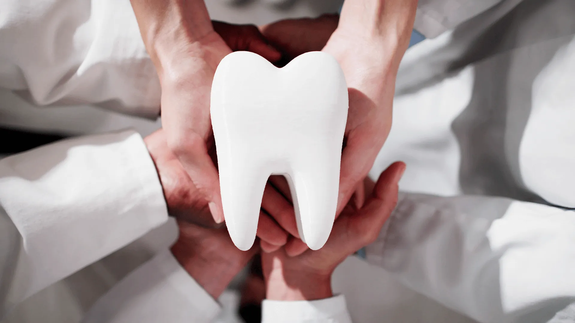 Group Of Dentists Holding Tooth. Dental Teeth Whitening