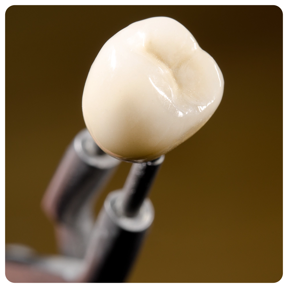 ceramic dental crown, tweezers (diagonal)