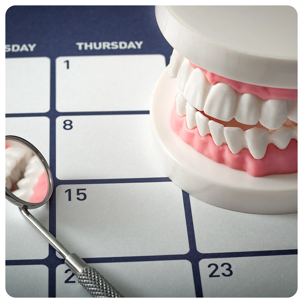 Dentist appointment, dentistry instruments and dental hygienist checkup concept with teeth model dentures and mouth mirror on a dark blue calendar. 